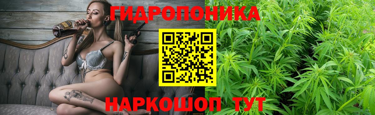 МАРИХУАНА семена  Каннабис Ganja  Конопля Bruce Banner  Вход с VPN  Родники 